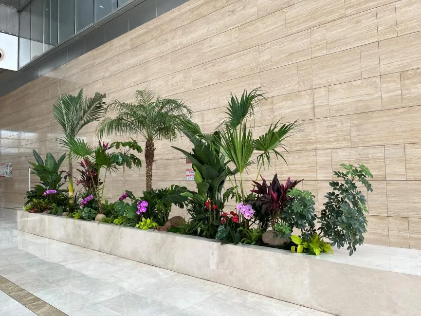 揭秘宁波江北绿植租摆设计，焕新空间生机